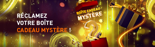 Boîte Cadeau Mystère_image